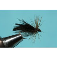 Entenflaum Sedge schwarz mit Widerhaken 10