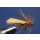 Palu Sedge mit Widerhaken 14