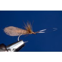 Brown caddisfly with detached body barbed 12