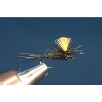 schwarze Parachute 10 Mit Widerhaken