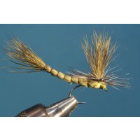 Olive mayfly with detached body barbed 8