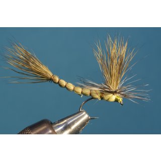Olive mayfly with detached body barbed 10