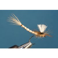 creme Ephemera with extended body barbless 8