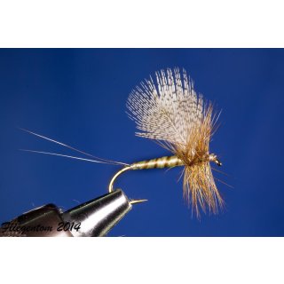 bright mayfly with fanned wing barbed 12
