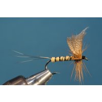 Winged mayfly with straw body  barbed 10