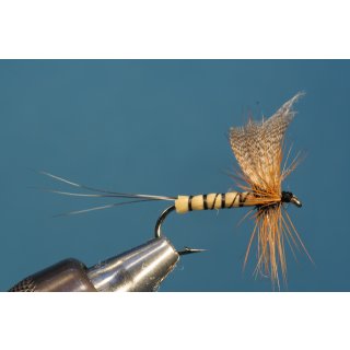 Winged mayfly with straw body  barbless 8