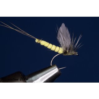 extended Body gelbe Dun Hechelfliege mit Widerhaken 10