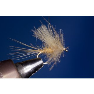 beige CDC-Dun barbless 16
