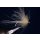 CDC Dun Light Cahill mit Widerhaken 10