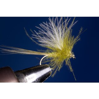 olive CDC Dun ohne Widerhaken 12