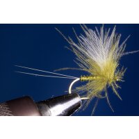 olive CDC Biotbody Dun barbless 18