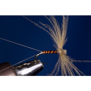red-brown Spinner / Spent barbed 14