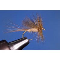 The inconspicuous dry fly