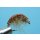 Scud Nr. 16 - Gammarus/Amphipode brown barbed 14