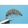 Scud Nr. 17 - Gammarus/Amphipode grey barbed 12