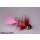 Wooley Bugger Sculpin/Bullhead pink, Krystal #6 - ca. 5cm