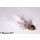 Wooley Bugger Koppe - weiß, Krystal #4 - ca. 6,5cm