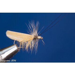 cream slovenian caddis fly  barbed 16
