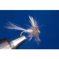 No hackle Blue Dun barbed 10