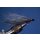 Synthetik Clouser Deep Minnow silver/black barbless #2