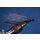 Synthetik Clouser Deep Minnow silver/black Saltwater #8