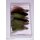 Range of 6 Deerhair Streamer (Marabou-Muddler) 8 barbless
