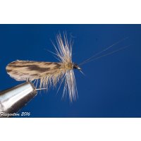 Assortment of 12 Dry Flies - Slowenian Sedges 8 barbless