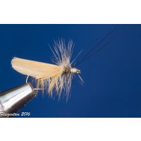 Assortment of 12 Dry Flies - Slowenian Sedges 8 barbless