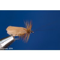 Assortment of 12 Dry Flies - Slowenian Sedges 8 with barb