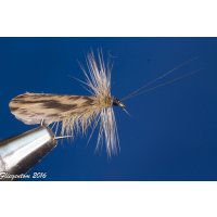 Assortment of 12 Dry Flies - Slowenian Sedges 12 with barb