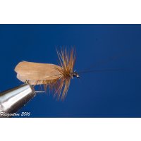 Assortment of 12 Dry Flies - Slowenian Sedges 12 with barb