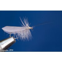 Assortment of 12 Dry Flies - Slowenian Sedges 12 with barb