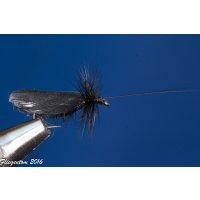 Assortment of 12 Dry Flies - Slowenian Sedges 12 with barb