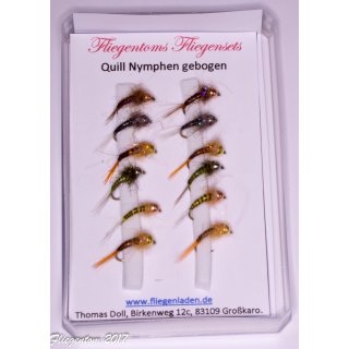 Assortment of 12 Quill Nymphs 8 barbless Tungsten