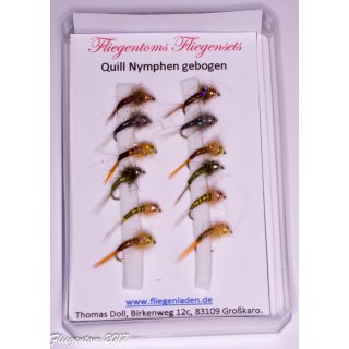Assortment of 12 Quill Nymphs 16 barbless Tungsten