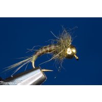 Assortment of 12 Quill Nymphs 16 barbless Tungsten