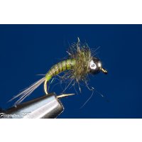 Assortment of 12 Quill Nymphs 16 barbless Tungsten