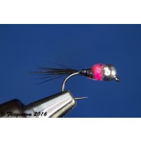 Assortment of 12 Holy Grail Nymphs 12 barbless Tungsten