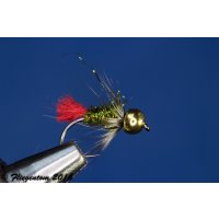 Assortment of 12 Red Tag Variationen (Nymphs, Wet Flies) 10 barbless Tungsten