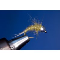 Fliegentom Range of 6 Universal nymphs  tungsten 14 with Barb