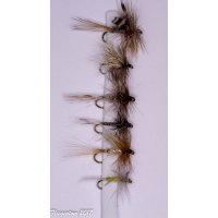 Assortment with 6 dry flies favorites 8 with barb