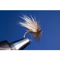 Assortment with 6 dry flies favorites 10 barbless