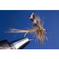 Fliegentoms Trockenfliegenset Favoriten (6 Stück) 14 ohne Widerhaken