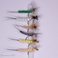 Range of 6 Extended Body Mayflies with Parachute Hackle 8...