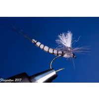 Range of 6 Extended Body Mayflies with Parachute Hackle 14 barbless