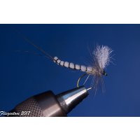 Range of 6 Extended Body Mayflies 8 with Barb
