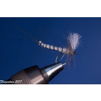 Range of 6 Extended Body Mayflies 12 barbless