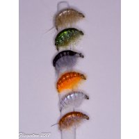 Assortment of 6 Amphipods/Gammarus (Scuds) with barb 16