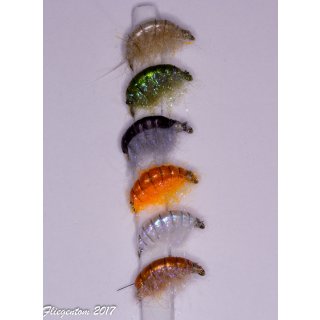 Assortment of 6 Amphipods/Gammarus (Scuds) barbless 10