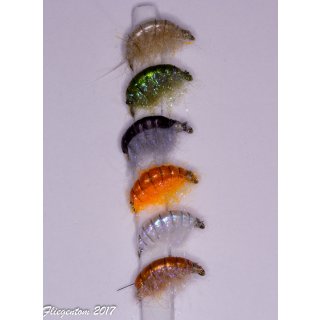 Assortment of 6 Amphipods/Gammarus (Scuds) barbless 14